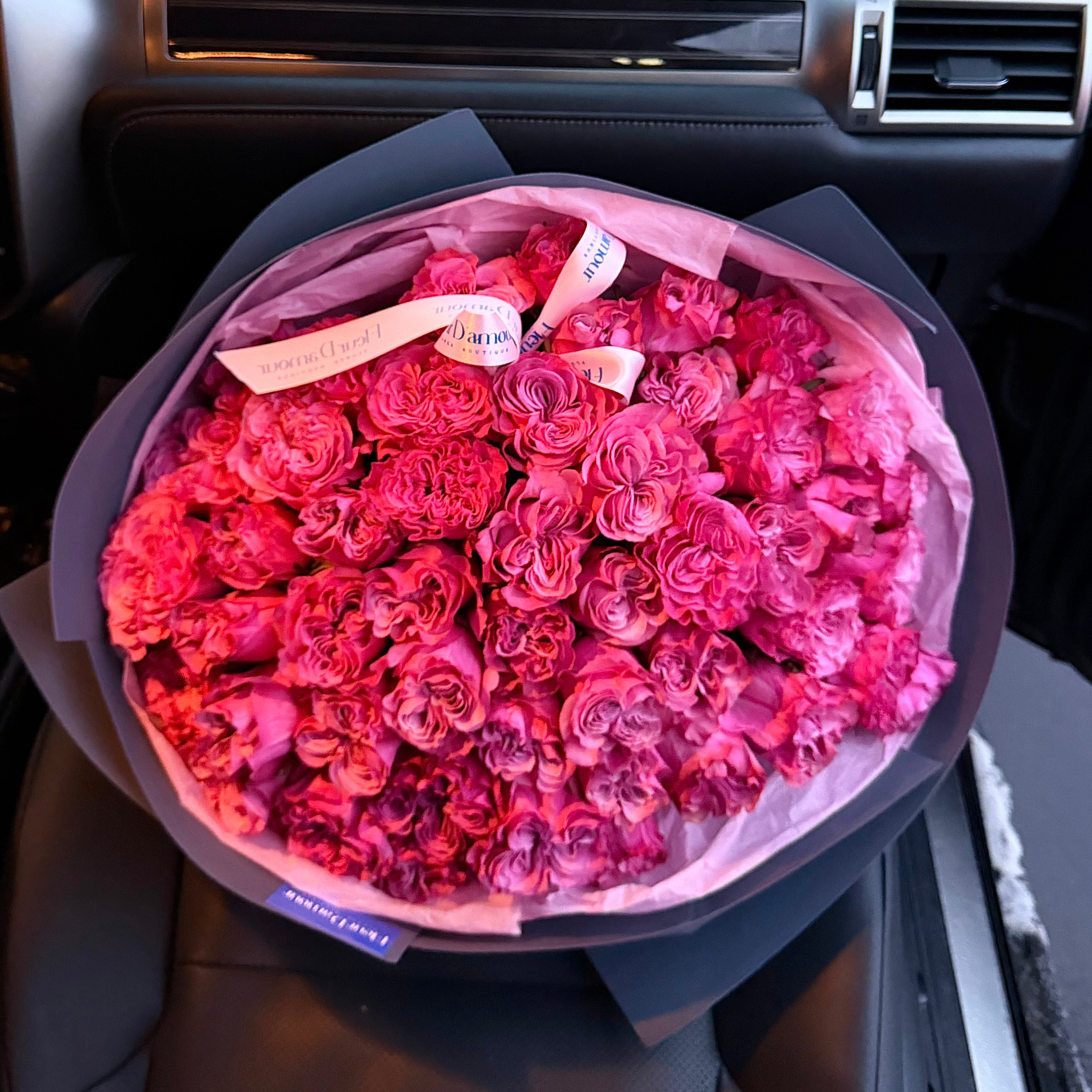 51 Country Blues Garden Roses