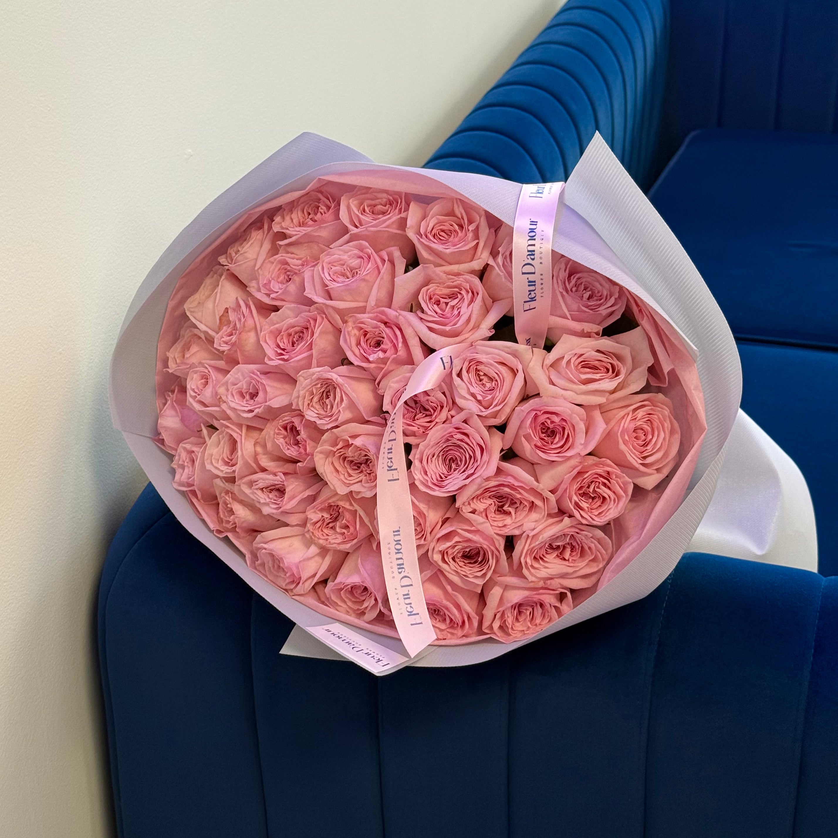 41 Pink O`Hara Roses