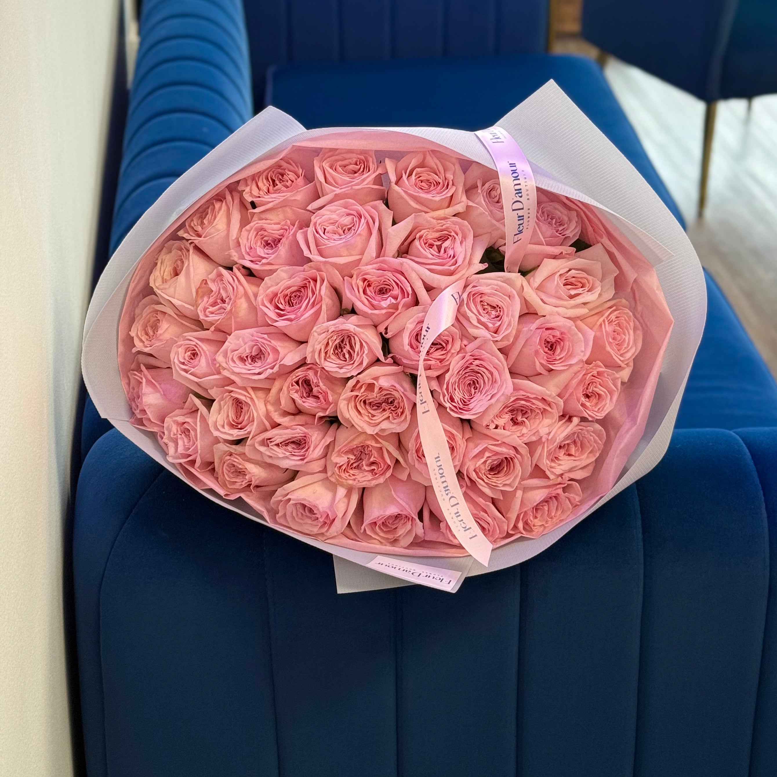 41 Pink O`Hara Roses