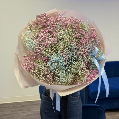 Baby’s Breath Dream