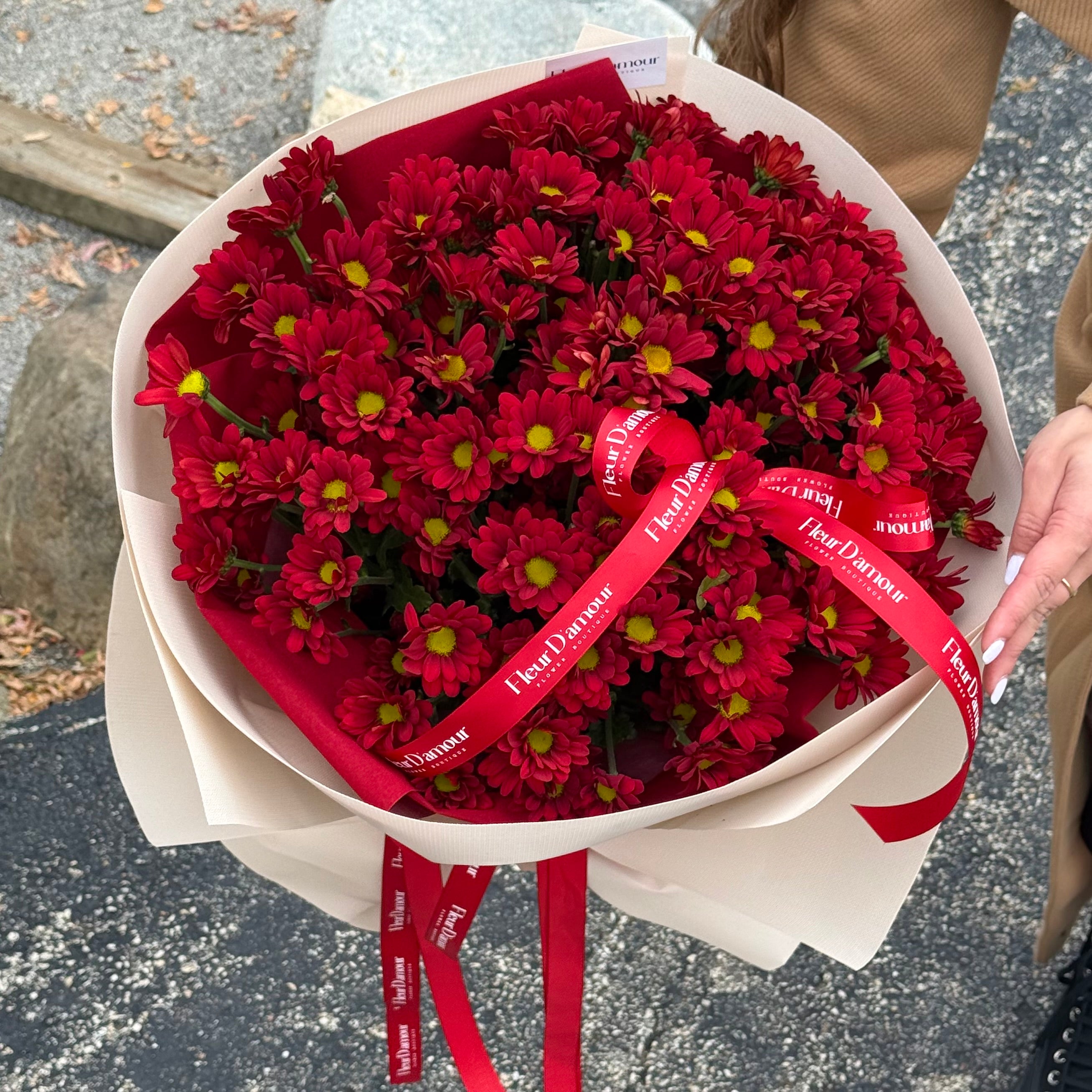 Red Velvet Bloom