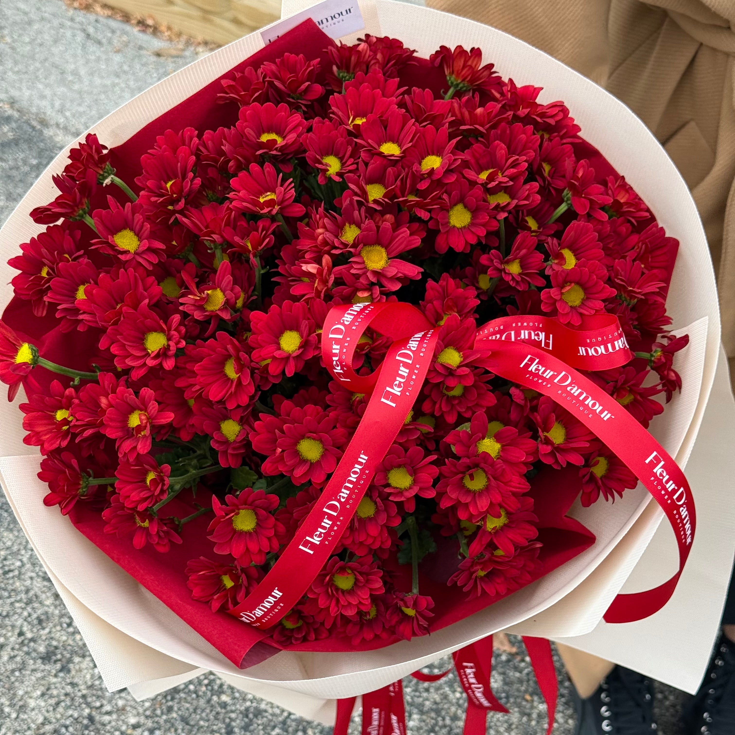 Red Velvet Bloom